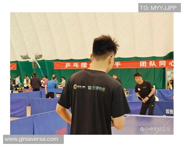 重庆乒乓球队的默契配合与训练揭秘展现乒乓球的魅力与团队精神